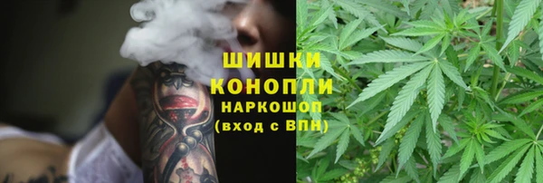 дурь Семилуки