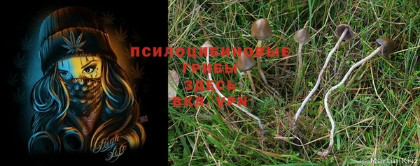 гашик Семёнов