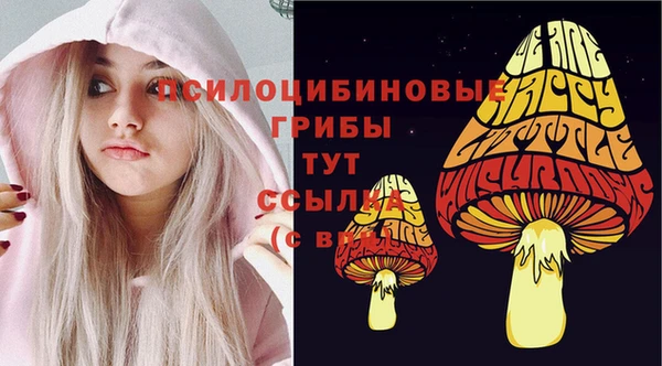 дурь Семилуки