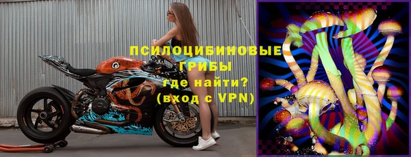 гашик Семёнов