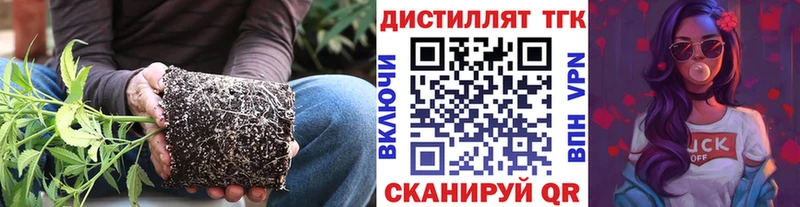 Купить  Лабинск  Дистиллят ТГК вейп 